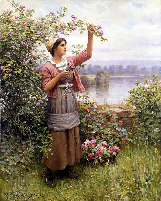 Daniel Ridgeway Knight Gathering Roses Sweden oil painting art